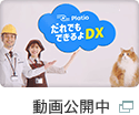 Platio「だれでもできるよDX」動画公開中