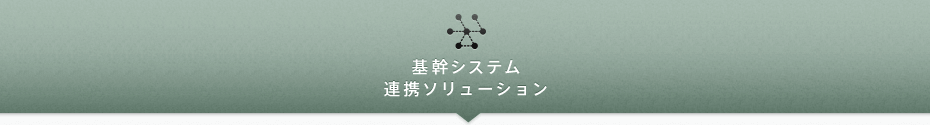 基幹システム連携ソリューション