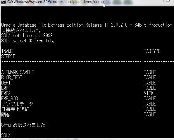 sqlplusでオブジェクトを表示