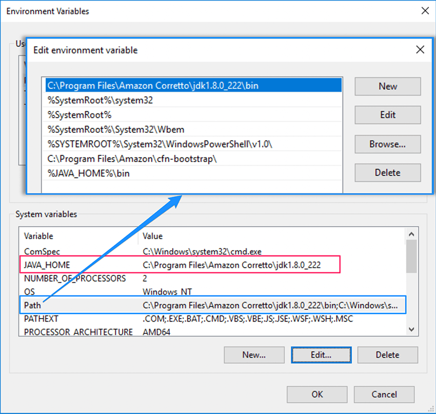 Environment variable