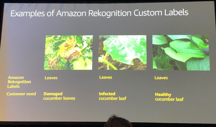 Examples of Amazon Rekognition Custom Labels