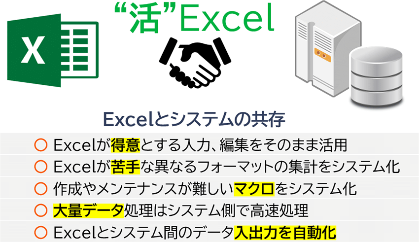 Excelとシステムの共存