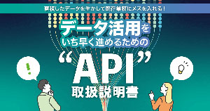 データ活用をいち早く進めるための“API”取扱説明書