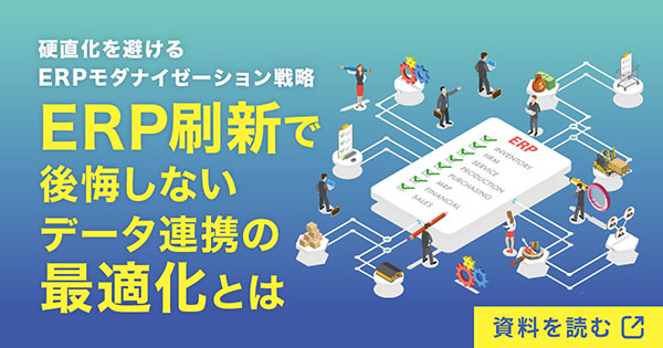 ERP刷新で後悔しないデータ連携の最適化とは